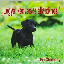 Hűtőmágnes idézettel - Legyél kedves az állatokhoz