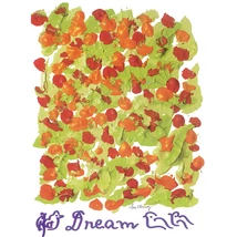 Sri Chinmoy - Jharna Kala festmény reprodukció - 45,9×60,9 cm - Dream - sorsnavishop.hu