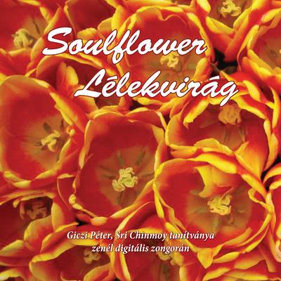 Soulflower (Lélekvirág) CD - Giczi Péter, Sri Chinmoy tanítványa zenél