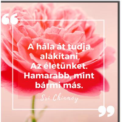 Hűtőmágnes idézettel - A hála át tudja alakítani
